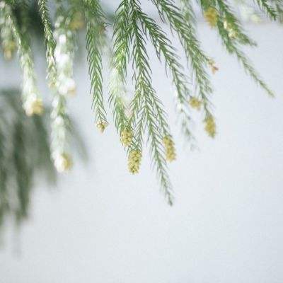 RFID识别通道助力海外仓实现无人...